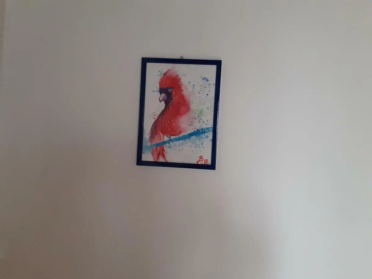 Casa Arcobaleno Apartment Vivo d'Orcia Italy